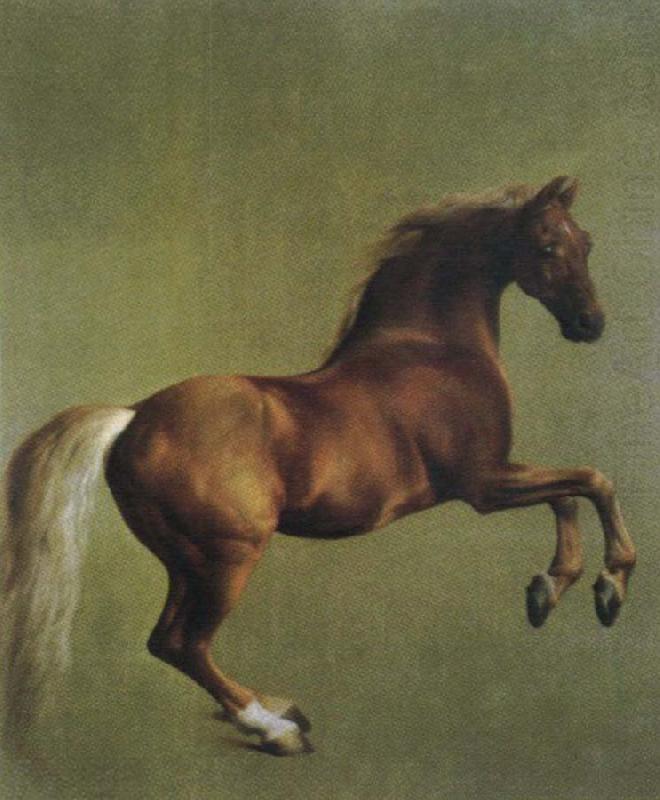 George Stubbs whistlejacket oil painting picture